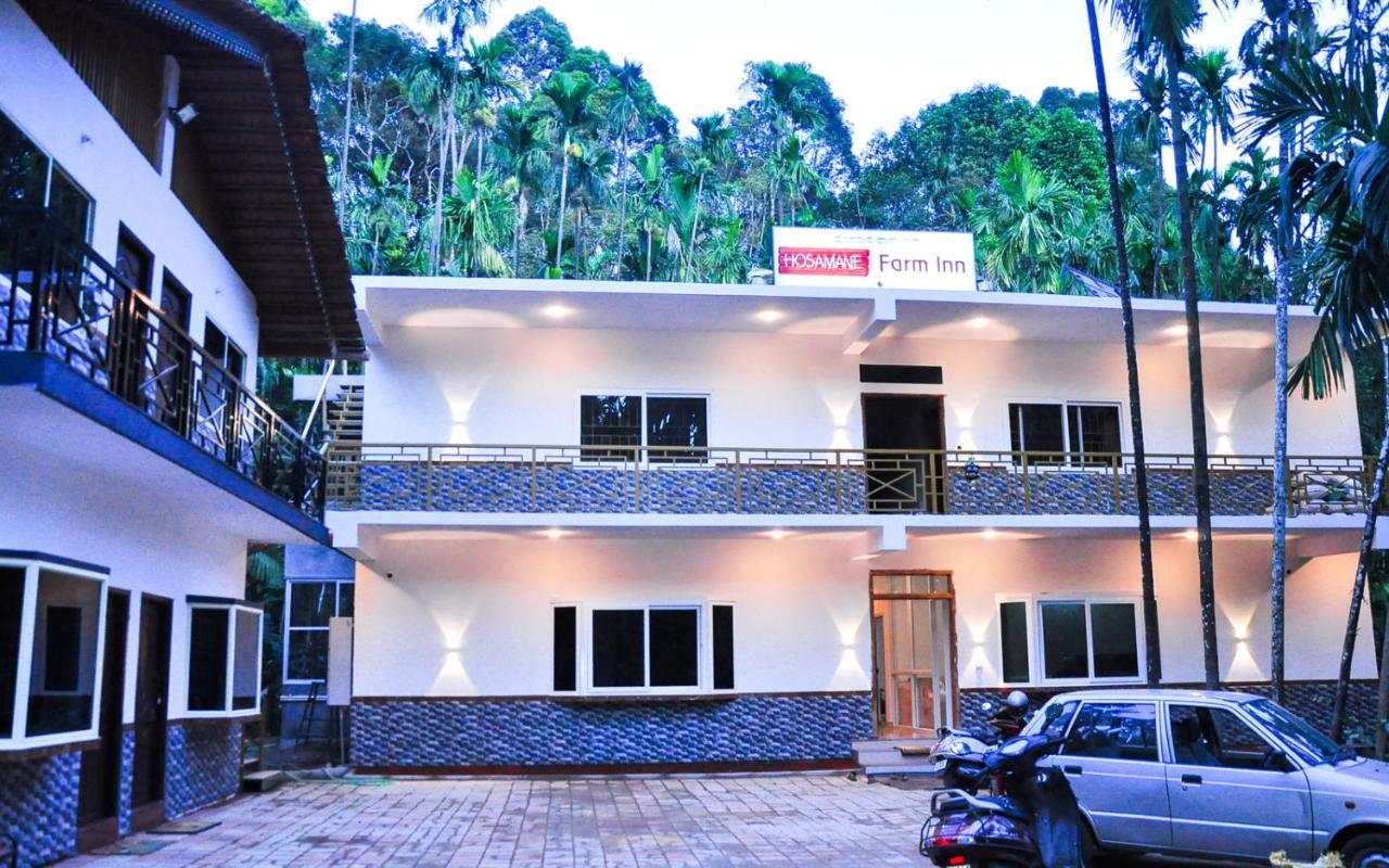 Hosamane Farm Inn Sringeri 外观 照片