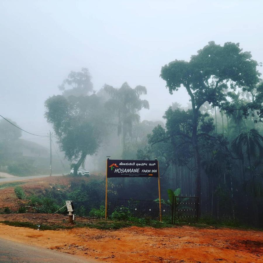 Hosamane Farm Inn Sringeri 外观 照片