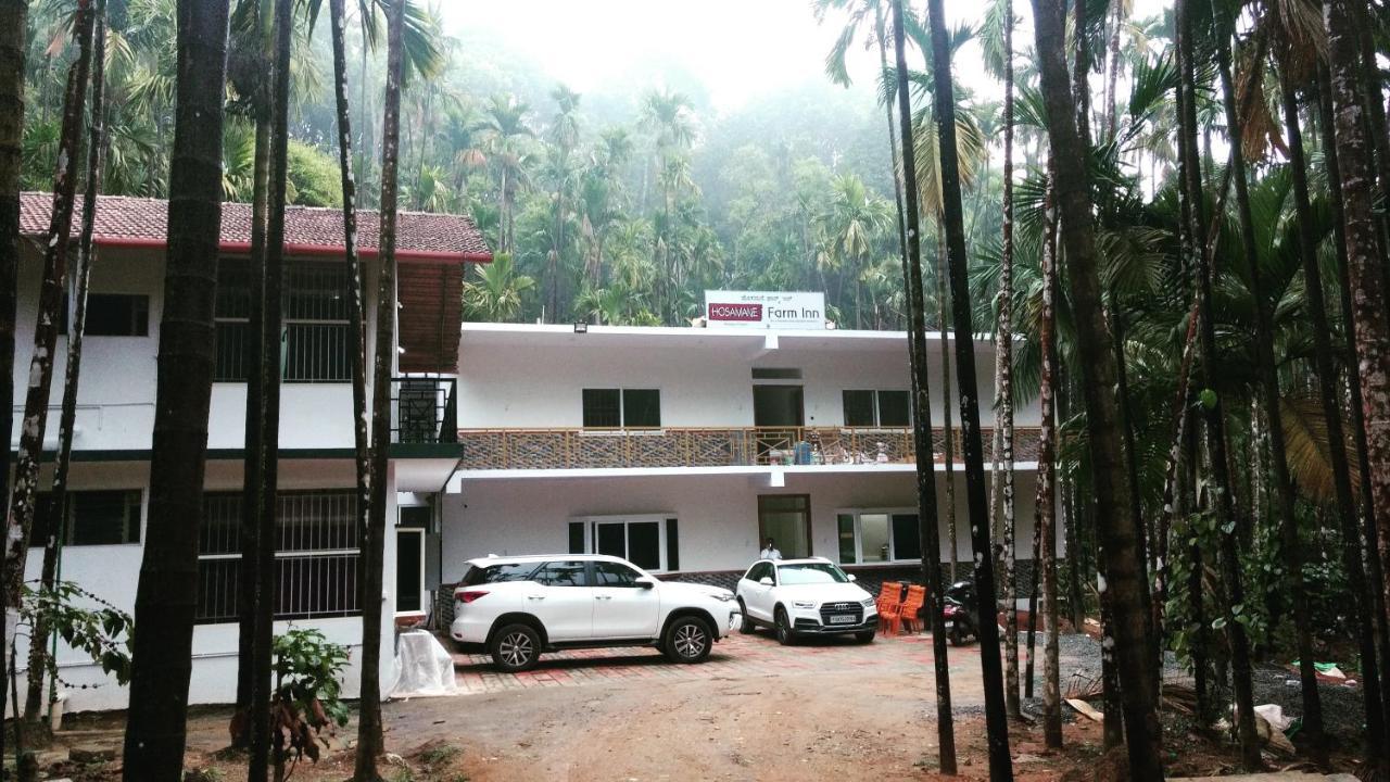 Hosamane Farm Inn Sringeri 外观 照片