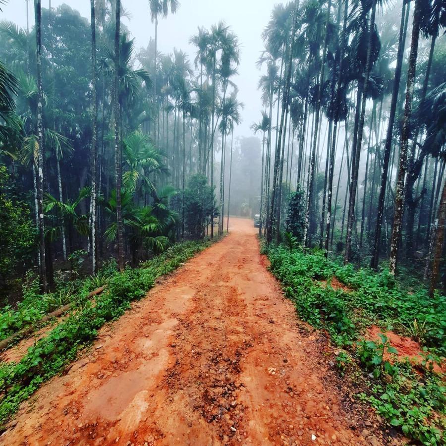 Hosamane Farm Inn Sringeri 外观 照片