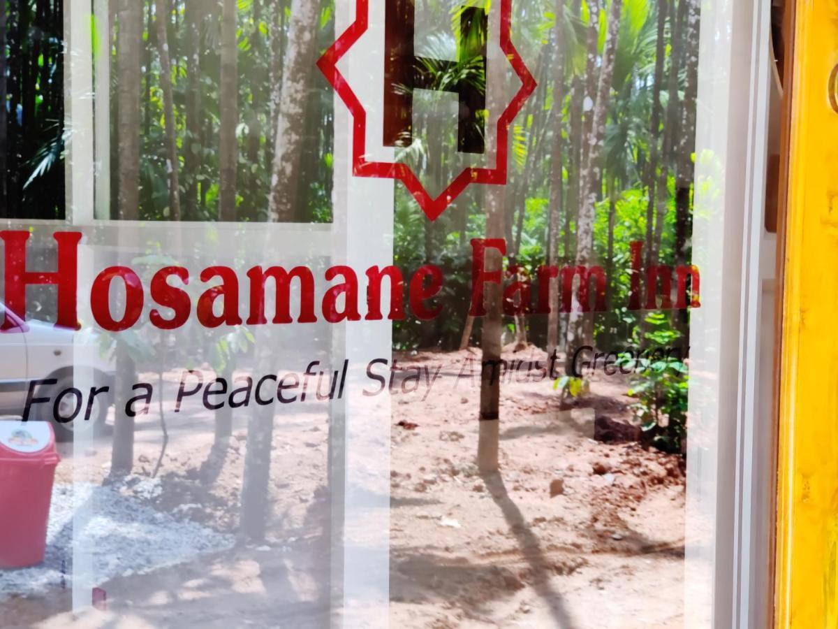 Hosamane Farm Inn Sringeri 外观 照片