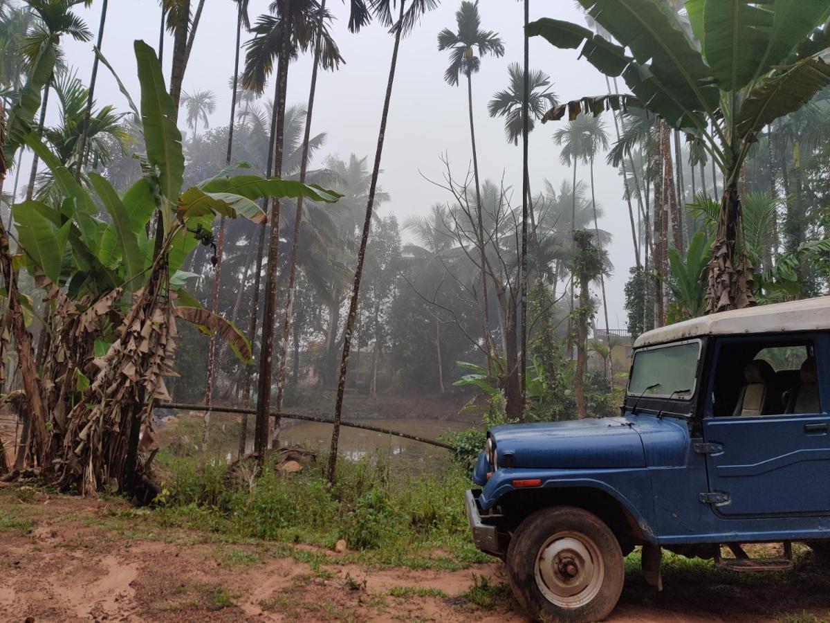 Hosamane Farm Inn Sringeri 外观 照片