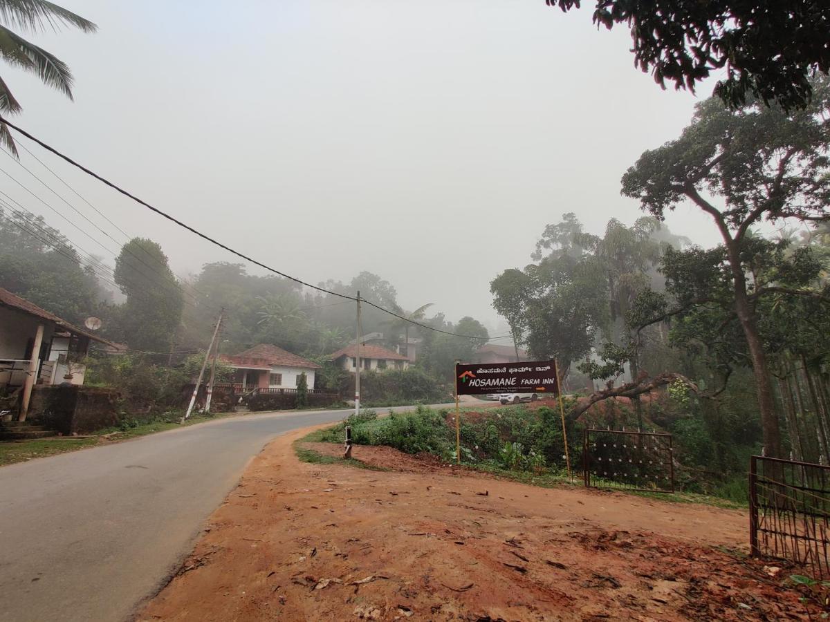 Hosamane Farm Inn Sringeri 外观 照片