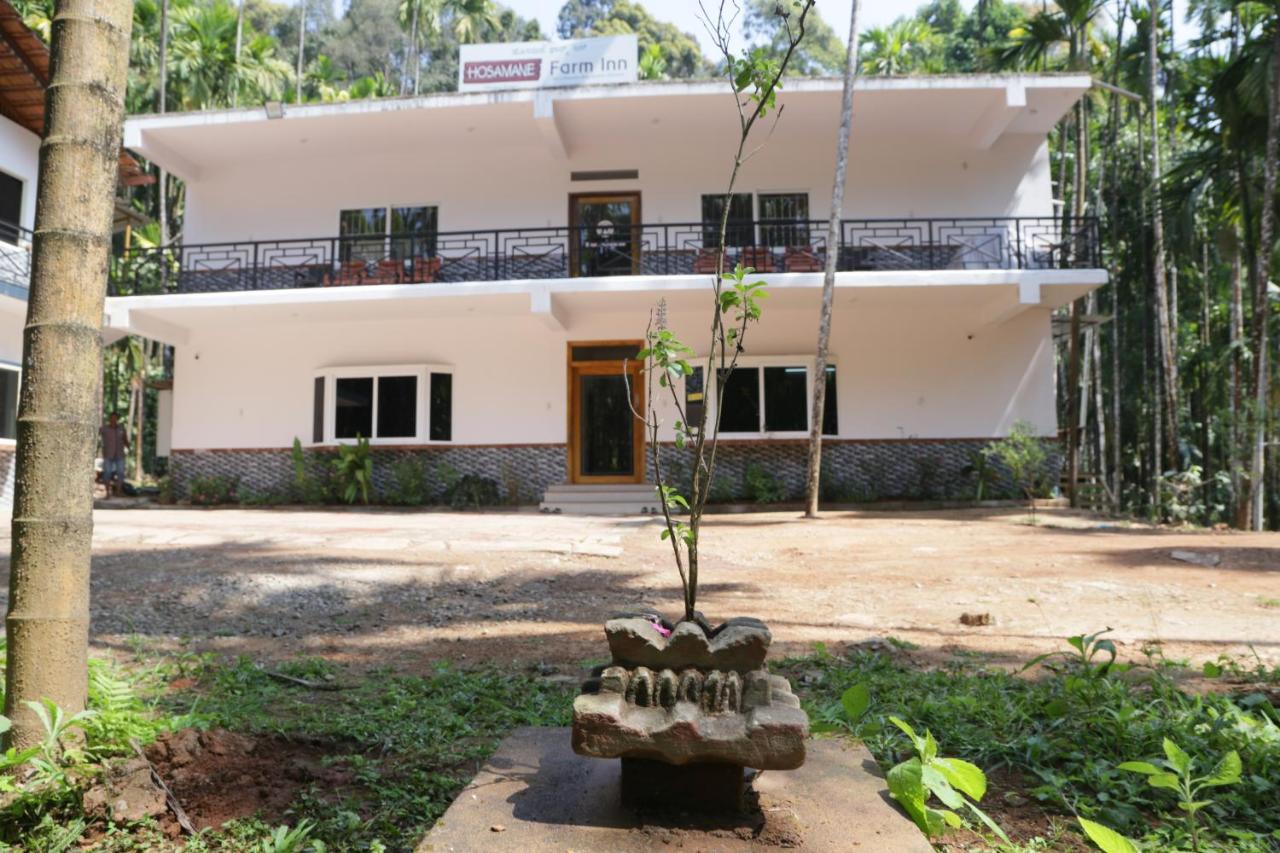 Hosamane Farm Inn Sringeri 外观 照片