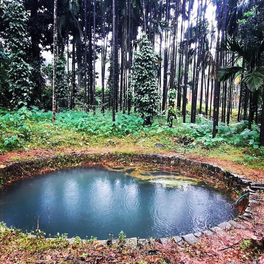 Hosamane Farm Inn Sringeri 外观 照片