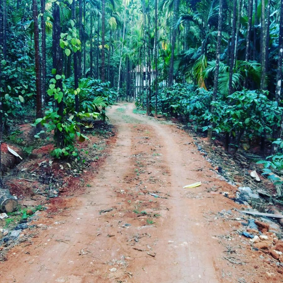 Hosamane Farm Inn Sringeri 外观 照片